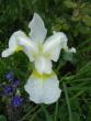 tn_gallery_3210_1864_6171.jpg