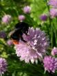 tn_gallery_3210_1864_62184.jpg