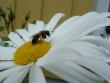 tn_gallery_3210_1864_6664.jpg
