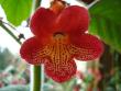 tn_gallery_7433_1585_9746.jpg