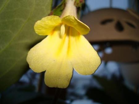 gallery_7433_1868_5064.jpg