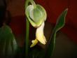 tn_gallery_7433_1868_10138.jpg