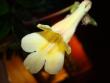 tn_gallery_7433_1868_23384.jpg