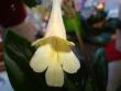 tn_gallery_7433_1868_6450.jpg