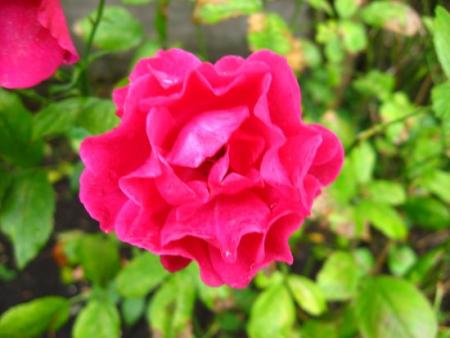 gallery_4113_1872_17011.jpg