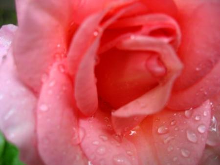 gallery_4113_1872_22341.jpg