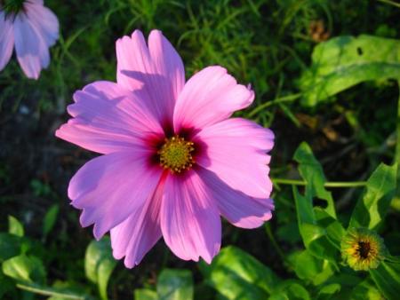 gallery_4113_1872_31373.jpg