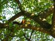 tn_gallery_4113_1871_69656.jpg