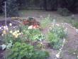 tn_gallery_4113_1872_13027.jpg