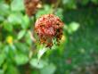 tn_gallery_4113_1872_5302.jpg