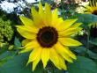 tn_gallery_4113_1872_72491.jpg