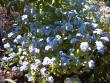tn_gallery_4113_1872_9223.jpg