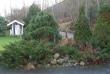 tn_gallery_9657_1875_62628.jpg