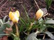 tn_gallery_1786_1878_94719.jpg