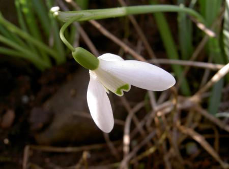 gallery_834_1897_45125.jpg