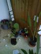 tn_gallery_3388_372_5923.jpg