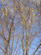 tn_gallery_834_1897_112276.jpg