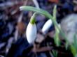 tn_gallery_834_1897_26438.jpg