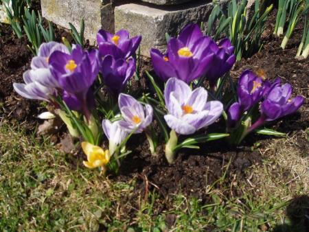gallery_13754_1905_201480.jpg