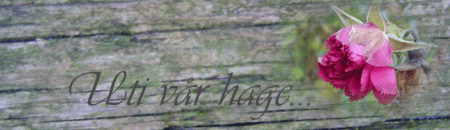 gallery_2483_1117_117292.gif