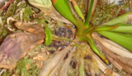 gallery_12008_984_42137.jpg