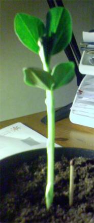 gallery_13743_1925_42886.jpg