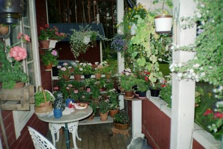gallery_13006_1628_172848.jpg