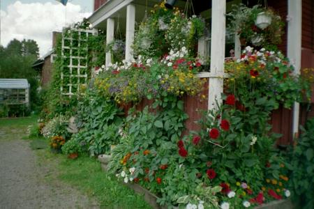 gallery_13006_1628_177201.jpg