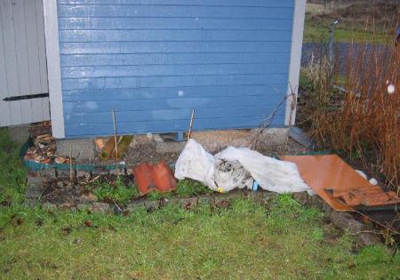 gallery_2529_1142_35963.jpg