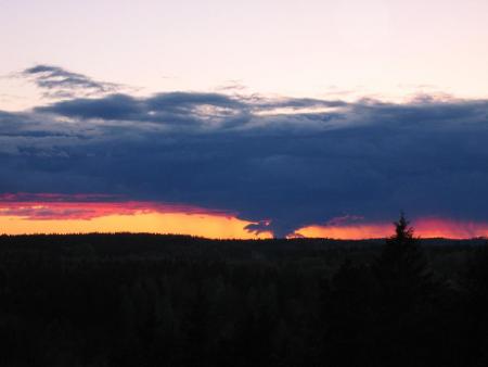 gallery_14199_1934_34215.jpg