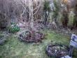 tn_gallery_13141_1899_93568.jpg