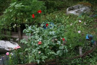 gallery_11478_1936_15101.jpg