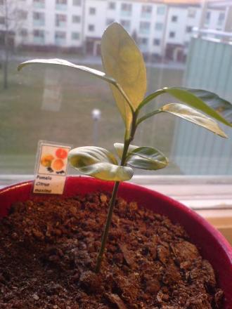 gallery_7395_1943_33114.jpg