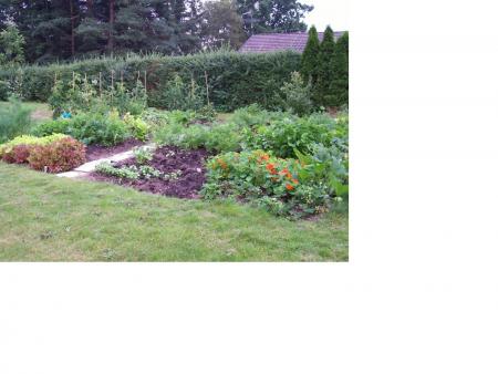 gallery_9680_1756_47699.jpg
