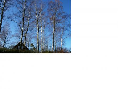 gallery_9680_182_209384.jpg