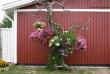 tn_gallery_3006_1933_153486.jpg