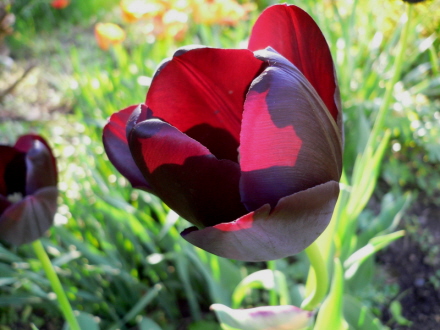 gallery_4960_1960_28257.jpg