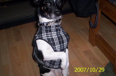 gallery_14342_36_29355.jpg