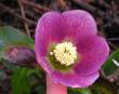 tn_gallery_387_1502_11373.jpg