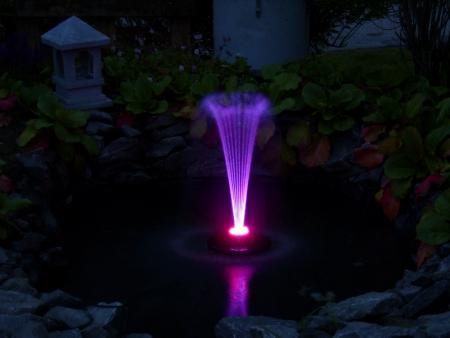 gallery_14337_1961_221192.jpg