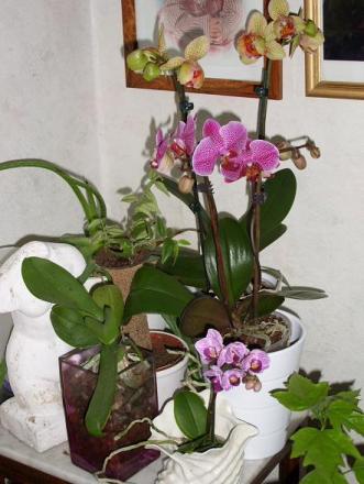 gallery_5307_545_46016.jpg