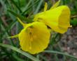 tn_gallery_77_1229_3624.jpg