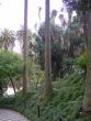 tn_gallery_3388_1977_166775.jpg