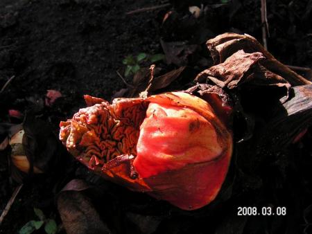 gallery_1786_952_11761.jpg