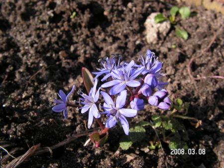 gallery_1786_952_135043.jpg