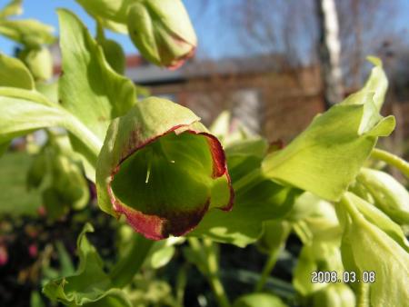gallery_1786_952_38847.jpg