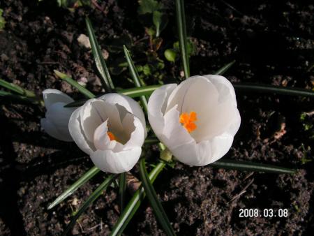 gallery_1786_952_88354.jpg