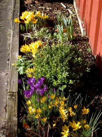 gallery_834_1996_9178.jpg