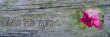 tn_gallery_2483_1117_118707.gif