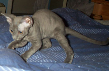 gallery_14472_1998_15066.jpg